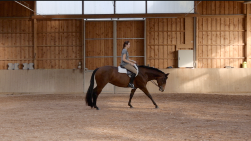 Hunter under Saddle: Tipps und Tricks von Franziska Dorfmeister